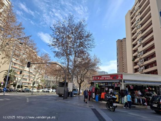 Reformado local comercial en avenida Mediterráneo cerca de playa Levante. - ALICANTE