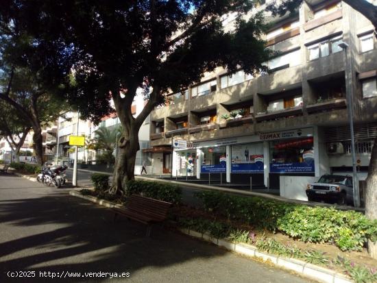  Se Alquila en Santa Cruz de Tenerife - SANTA CRUZ DE TENERIFE 