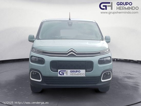 Citroën Berlingo TALLA M BLUE HDI 130 CV SHINE - Ponteareas