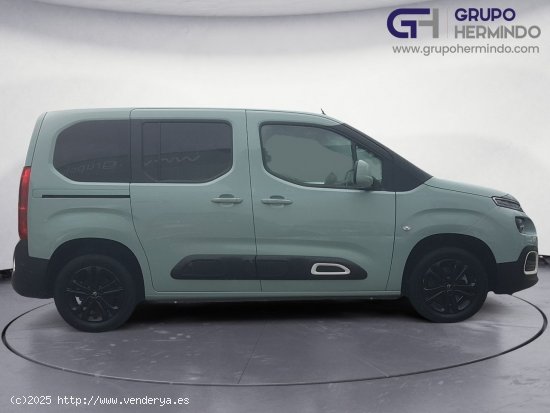 Citroën Berlingo TALLA M BLUE HDI 130 CV SHINE - Ponteareas