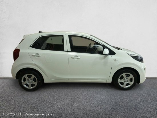 Kia Picanto 1.0 DPi 49kW (67CV) Concept CLEAR WHITE - 