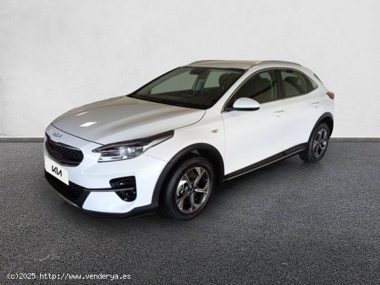 Kia XCeed 1.0 T-GDi Drive 88kW (120CV) CASA WHITE - 