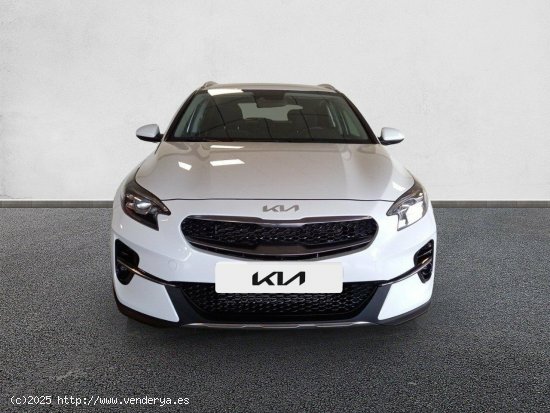 Kia XCeed 1.0 T-GDi Drive 88kW (120CV) CASA WHITE - 