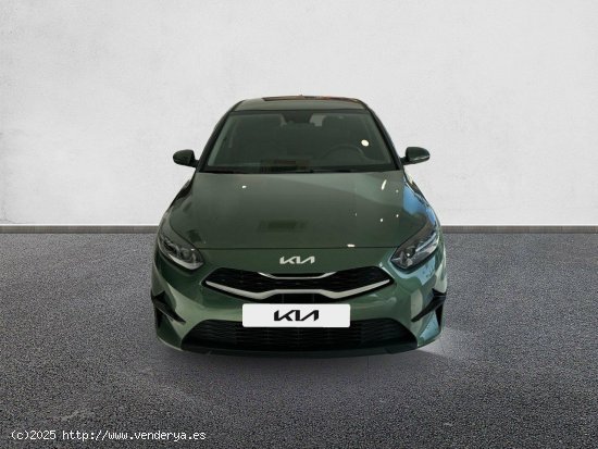 Kia Ceed 1.0 T-GDi 74kW (100CV) Tech EXPERIENCE GREEN - 