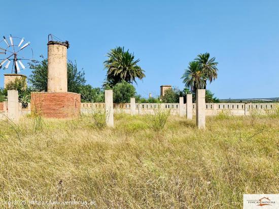 TERRENO EN VENTA ZONA SON FERRIOL-CASABLANCA. MALLORCA - BALEARES