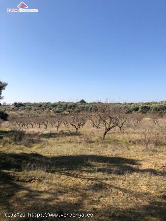 Se vende Finca Rústica cercana a Barbastro - HUESCA