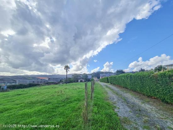 GRAN PARCELA EN EL CENTRO DE TABEAIO (CARRAL) - A CORUÑA