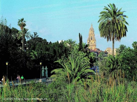 Preventa Piso en Murcia con plaza de garaje - MURCIA