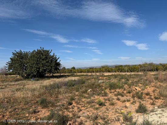 TERRENO RUSTICO DE 10500 MQ. , CON POSIBILIDAD DE CONSTRUCCION DE UNA CASA. - VALENCIA