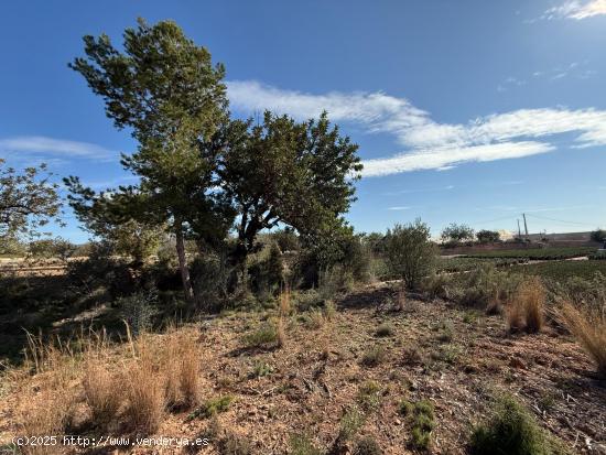 TERRENO RUSTICO A POCA DISTANCIA DE LLIRIA - VALENCIA