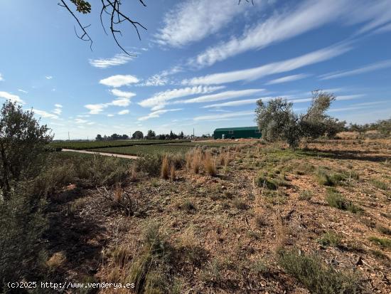 TERRENO RUSTICO A POCA DISTANCIA DE LLIRIA - VALENCIA