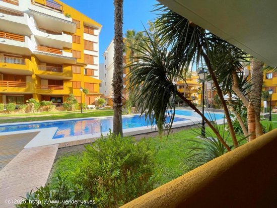  Apartamento en venta en Orihuela (Alicante) 