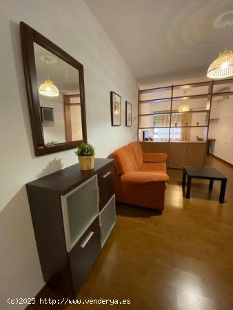  Estudio en alquiler en Granada (Granada) 