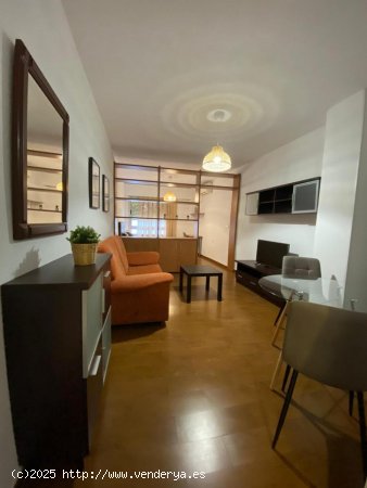 Estudio en alquiler en Granada (Granada)