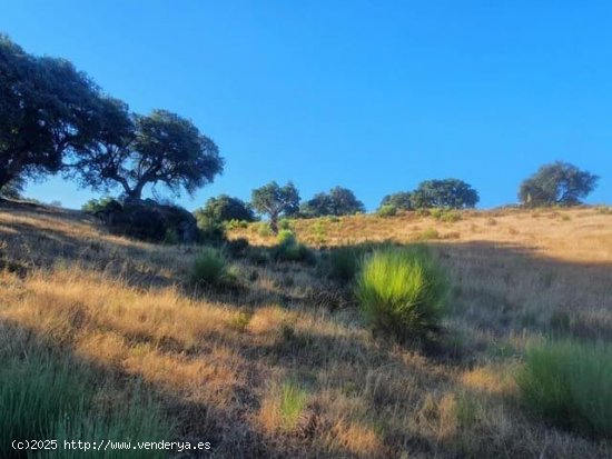 Finca en venta en San Vicente de Alcántara (Badajoz)