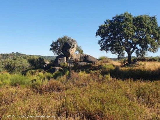 Finca en venta en San Vicente de Alcántara (Badajoz)