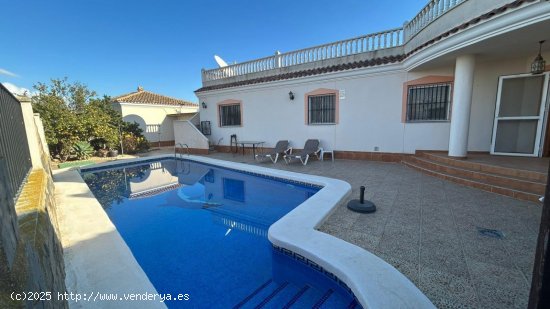 Local en venta en Torre-Pacheco (Murcia)