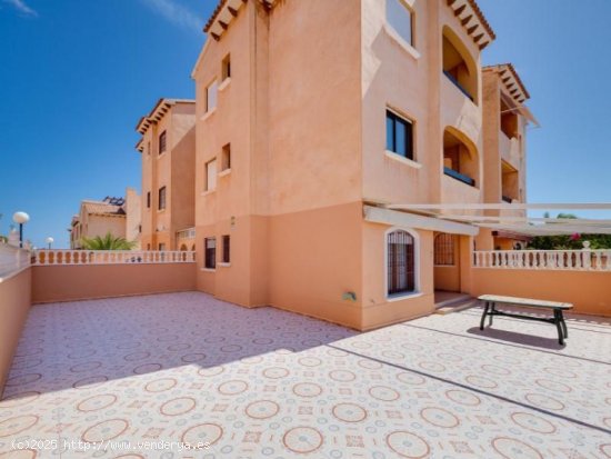 Bungalow en venta en Torrevieja (Alicante)