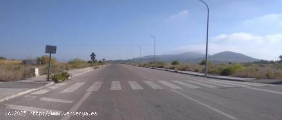 Terreno industrial en venta en calle Revolcadores, Polg Marimingo Bullas - MURCIA