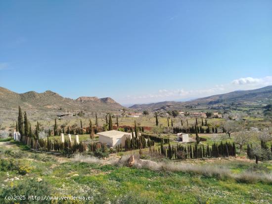  FINCA CON PEQUEÑA CONSTRUCCION. - MURCIA 