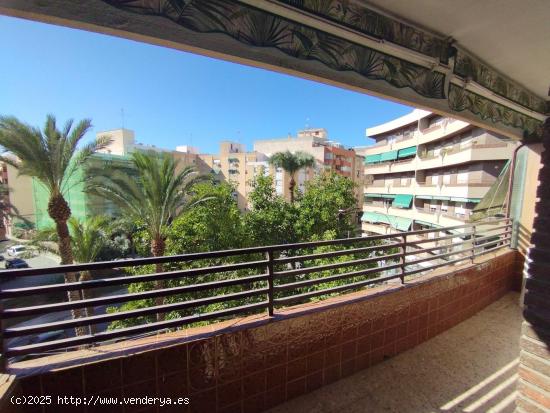  ALQUILER TEMPORAL en Glorieta Tomas Ramirez - ALICANTE 