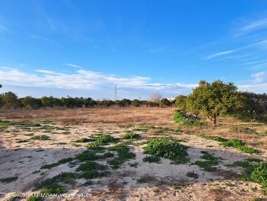  TERRENO RUSTICO SIN CULTIVAR - VALENCIA 