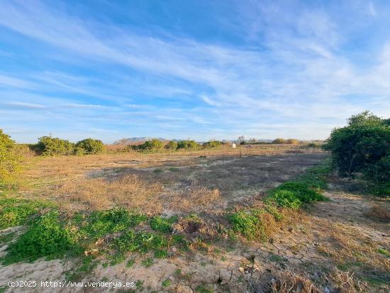 TERRENO RUSTICO SIN CULTIVAR - VALENCIA