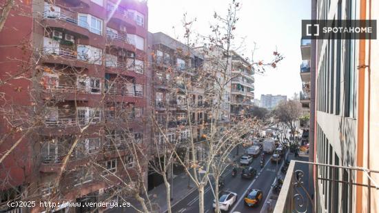 Cómodo y luminoso apartamento en zona céntrica. - BARCELONA