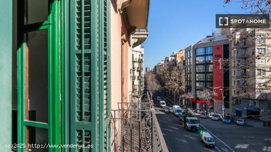 Cómodo y luminoso apartamento en zona céntrica. - BARCELONA