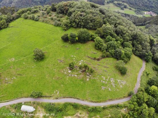 FINCA AGRARIA CERRA EN VILLAGARCIA GRADO - ASTURIAS