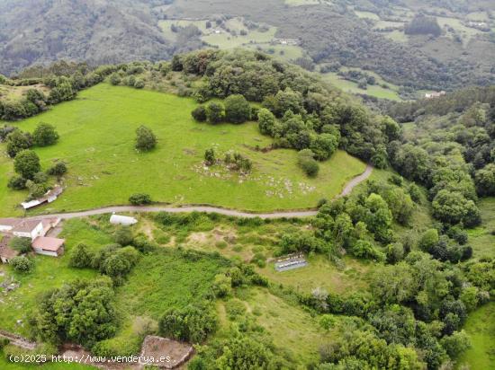 FINCA AGRARIA CERRA EN VILLAGARCIA GRADO - ASTURIAS