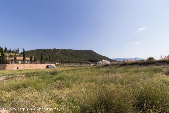 Terreno de 5.700 m2 edificable (máximo 200 m2) - MURCIA