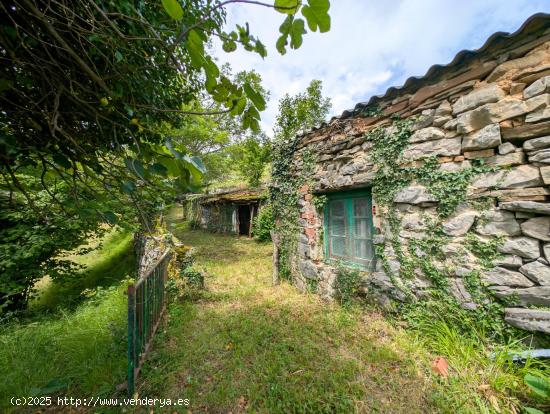 FINCAS CON CABAÑAS, CUADRA Y PAJAR EN EL ENCANTADOR PUEBLO DE CUÉRIGO, ALLER. ASTURIAS. - ASTURIAS