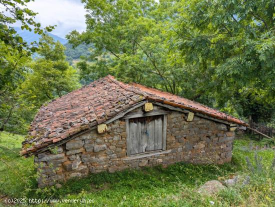 FINCAS CON CABAÑAS, CUADRA Y PAJAR EN EL ENCANTADOR PUEBLO DE CUÉRIGO, ALLER. ASTURIAS. - ASTURIAS