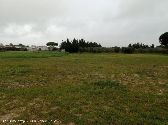  VENTA DE TERRENO SEGREGADO EN VENTA LA RAYA - CADIZ 