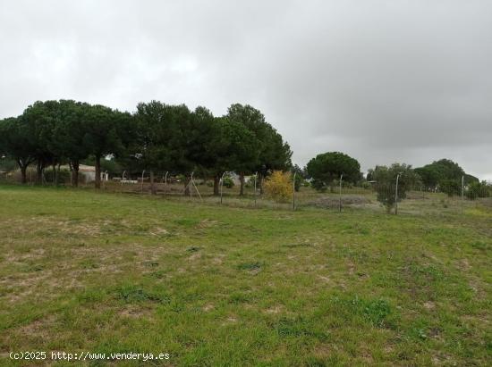 VENTA DE TERRENO SEGREGADO EN VENTA LA RAYA - CADIZ