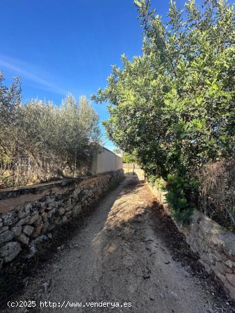  Solar urbanizable en el casco antiguo de Sa Cabaneta, Marratxí - BALEARES 