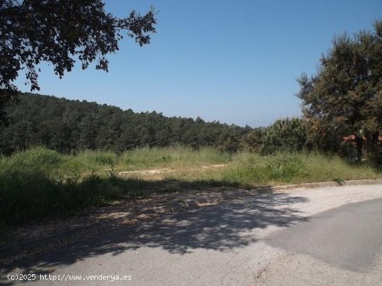 Suelo urbano en venta  en Maçanet de La Selva - Girona