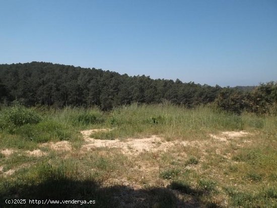 Suelo urbano en venta  en Maçanet de La Selva - Girona