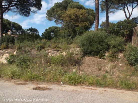 Suelo urbano en venta  en Maçanet de La Selva - Girona