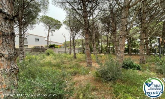 Suelo Urbanizable en venta  en Garriga, La - Girona