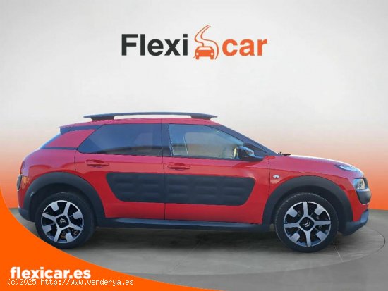 Citroën C4 Cactus PureTech 60KW (82CV) Feel - Segovia