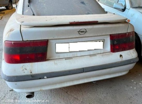 OPEL Calibra en venta en Murcia (Murcia) - Murcia