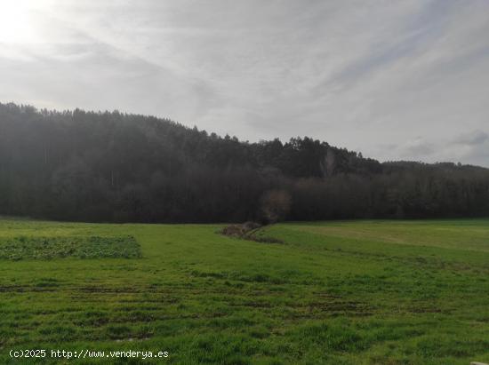 SE VENDE FINCA FORESTAL - A CORUÑA