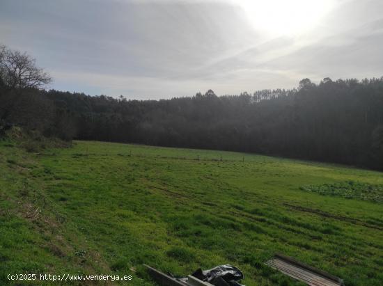 SE VENDE FINCA FORESTAL - A CORUÑA