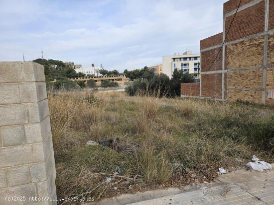 ALQUILER DE PARCELA EN LA RÀPITA - TARRAGONA