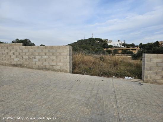 ALQUILER DE PARCELA EN LA RÀPITA - TARRAGONA