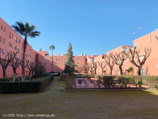 PISO AMUEBLADO EN ALQUILER RESIDENCIAL EN LOS BERMEJALES - SEVILLA