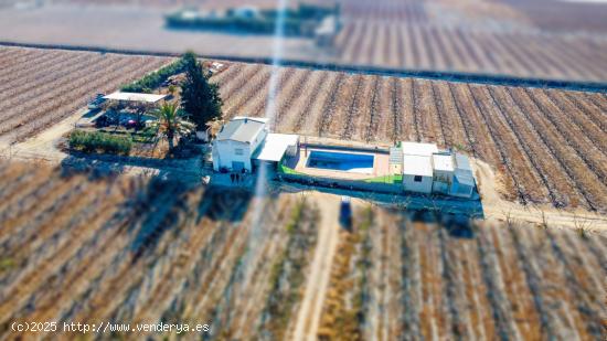 FINCA AGRICOLA CON CASA Y PISCINA EN LA FUENTE DEL PERAL - MURCIA