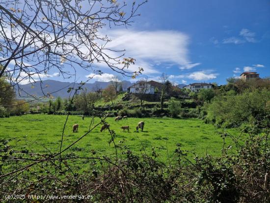 EN VENTA FINCA URBANA DE 2600 M2 EN EL VALLE DE MENA - BURGOS